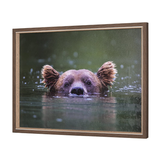 HLHF Peeking Out Wall Art Wall Art Furniture Store Burlington Ontario Near Me