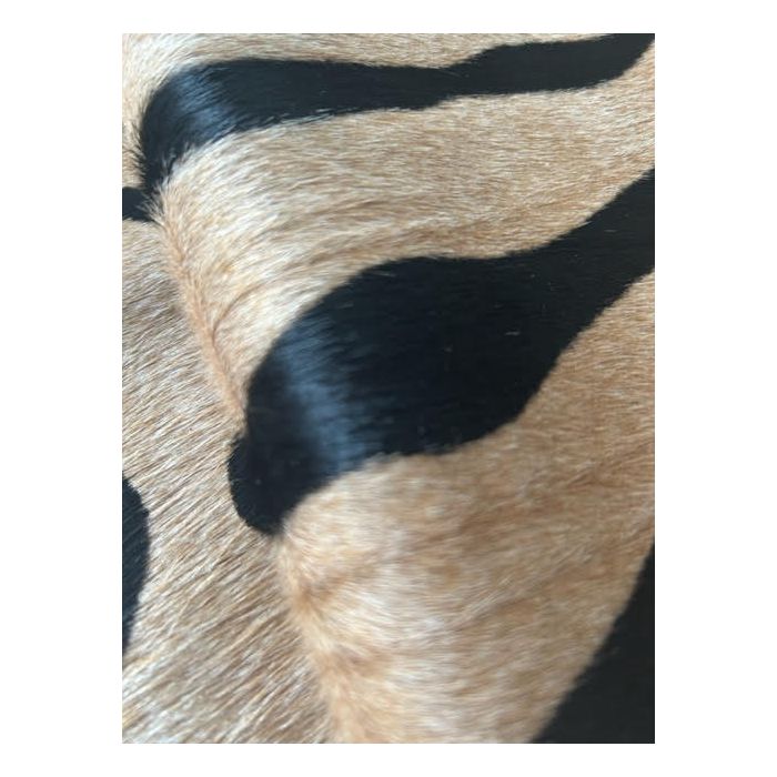 HLHF Wild Cowhide X Grey Home Accessories, Grey Home Furniture Store Burlington Ontario Near Me