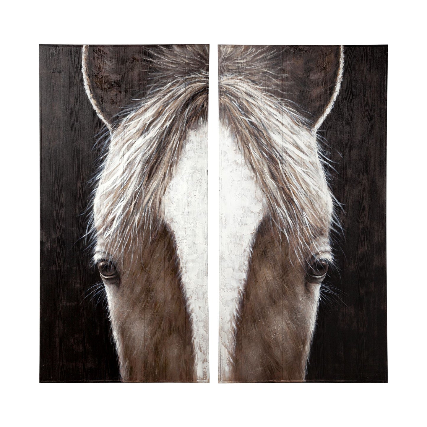 HLHF Equus Diptych Wall Art New Arrivals, Wall Art Furniture Store Burlington Ontario Near Me 