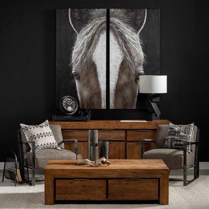 HLHF Equus Diptych Wall Art New Arrivals, Wall Art Furniture Store Burlington Ontario Near Me 