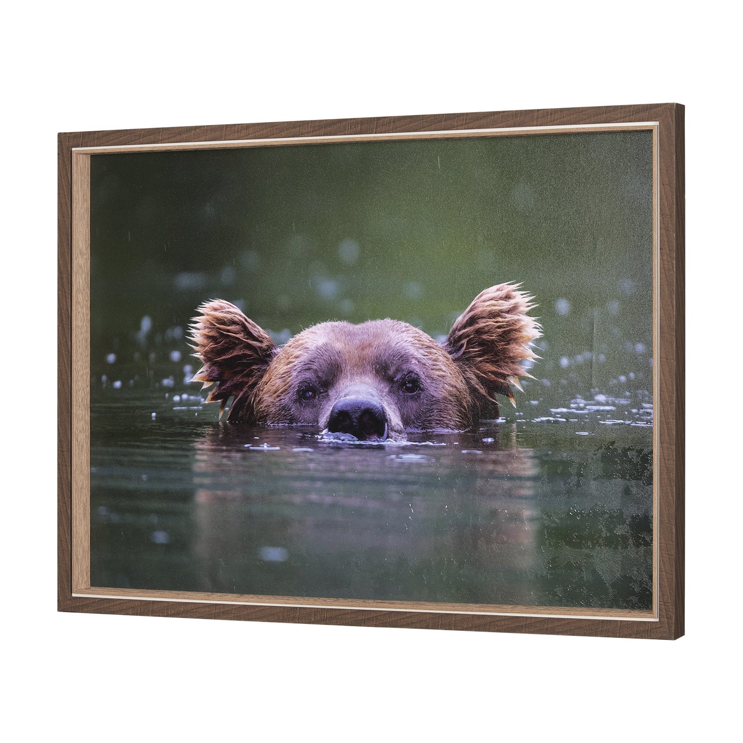 HLHF Peeking Out Wall Art Wall Art Furniture Store Burlington Ontario Near Me 