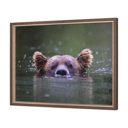 HLHF Peeking Out Wall Art Wall Art Furniture Store Burlington Ontario Near Me 