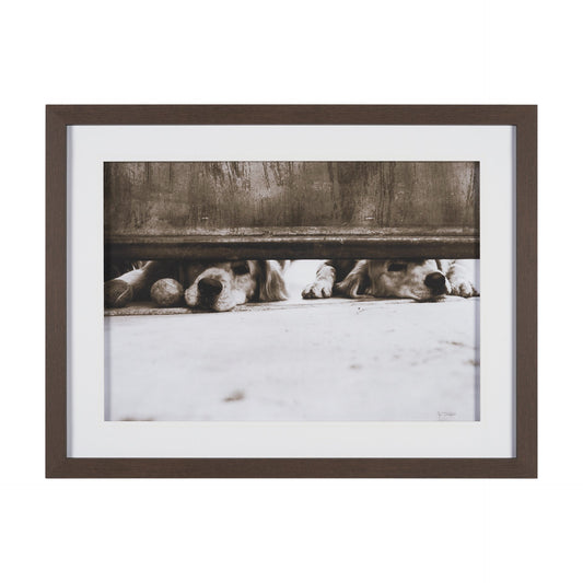 HLHF We See You Wall Art New Arrivals, Wall Art Furniture Store Burlington Ontario Near Me 