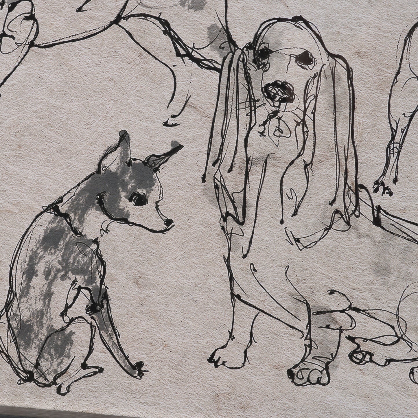 HLHF Dog Sketches II Wall Art New Arrivals, Wall Art Furniture Store Burlington Ontario Near Me 