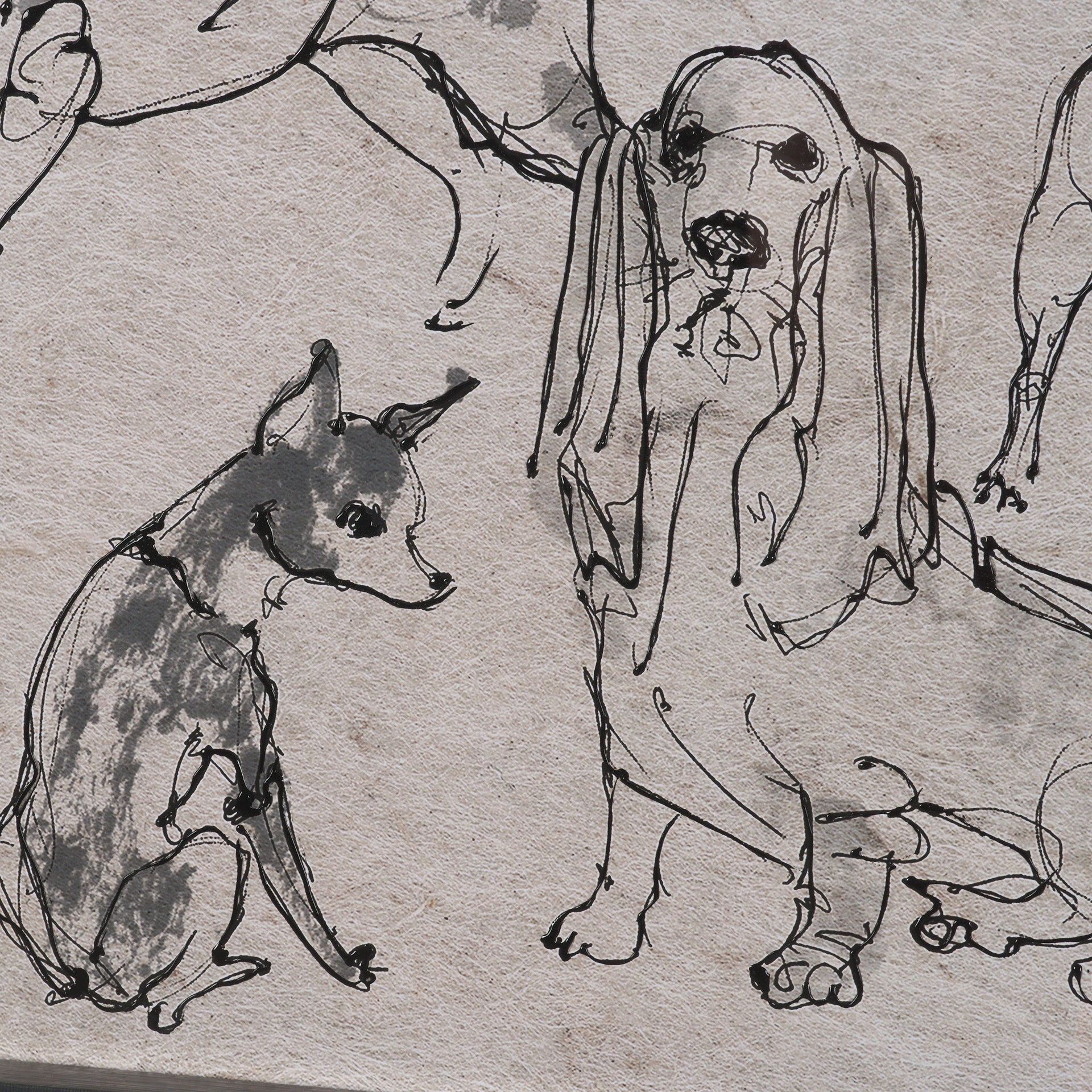 HLHF Dog Sketches II Wall Art New Arrivals, Wall Art Furniture Store Burlington Ontario Near Me 