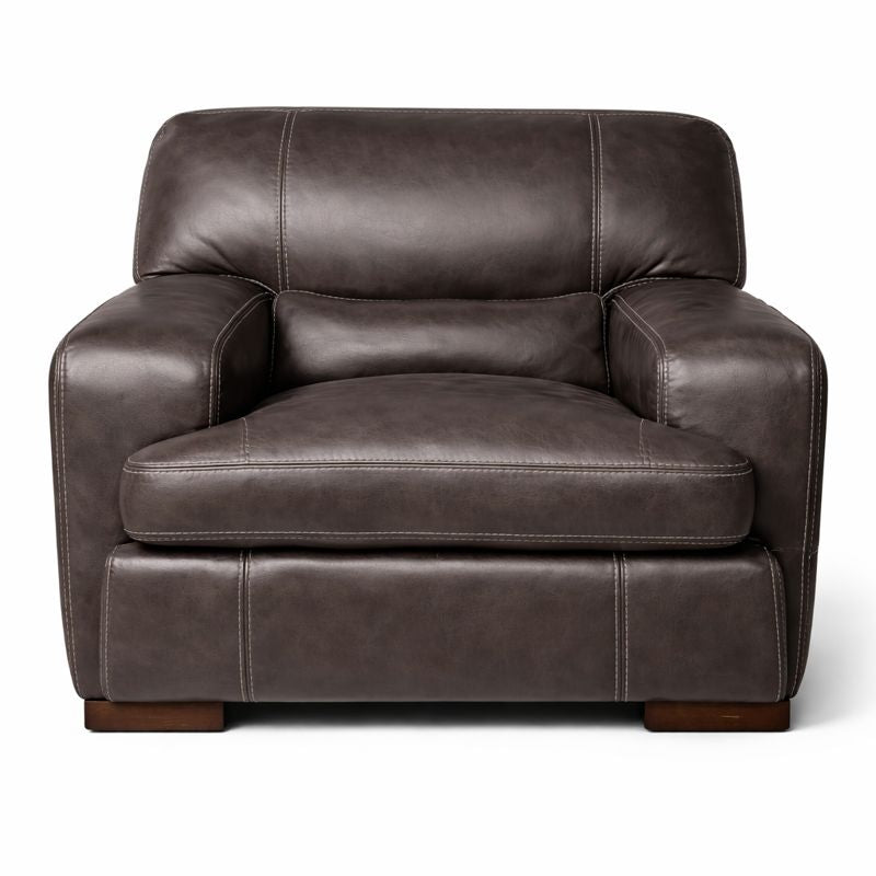 HLHF Steel Leather Chair - Floor Model Accent Chairs, Living, Sale Furniture Store Burlington Ontario Near Me 