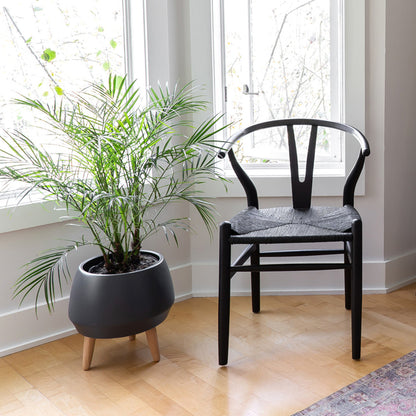HLHF Frida Dining Chair Dining Furniture Store Burlington Ontario Near Me 