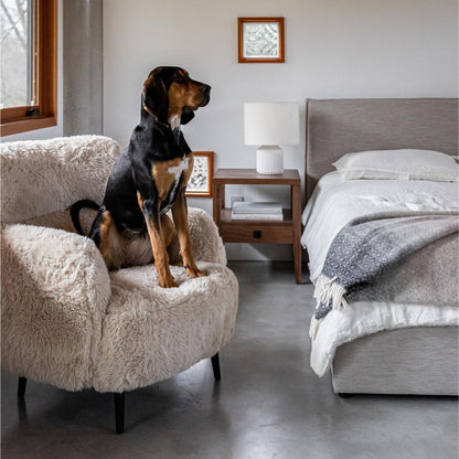 HLHF Ginger Accent Chair X Grey Home Accent Chairs, Grey Home, Home Furniture Store Burlington Ontario Near Me 