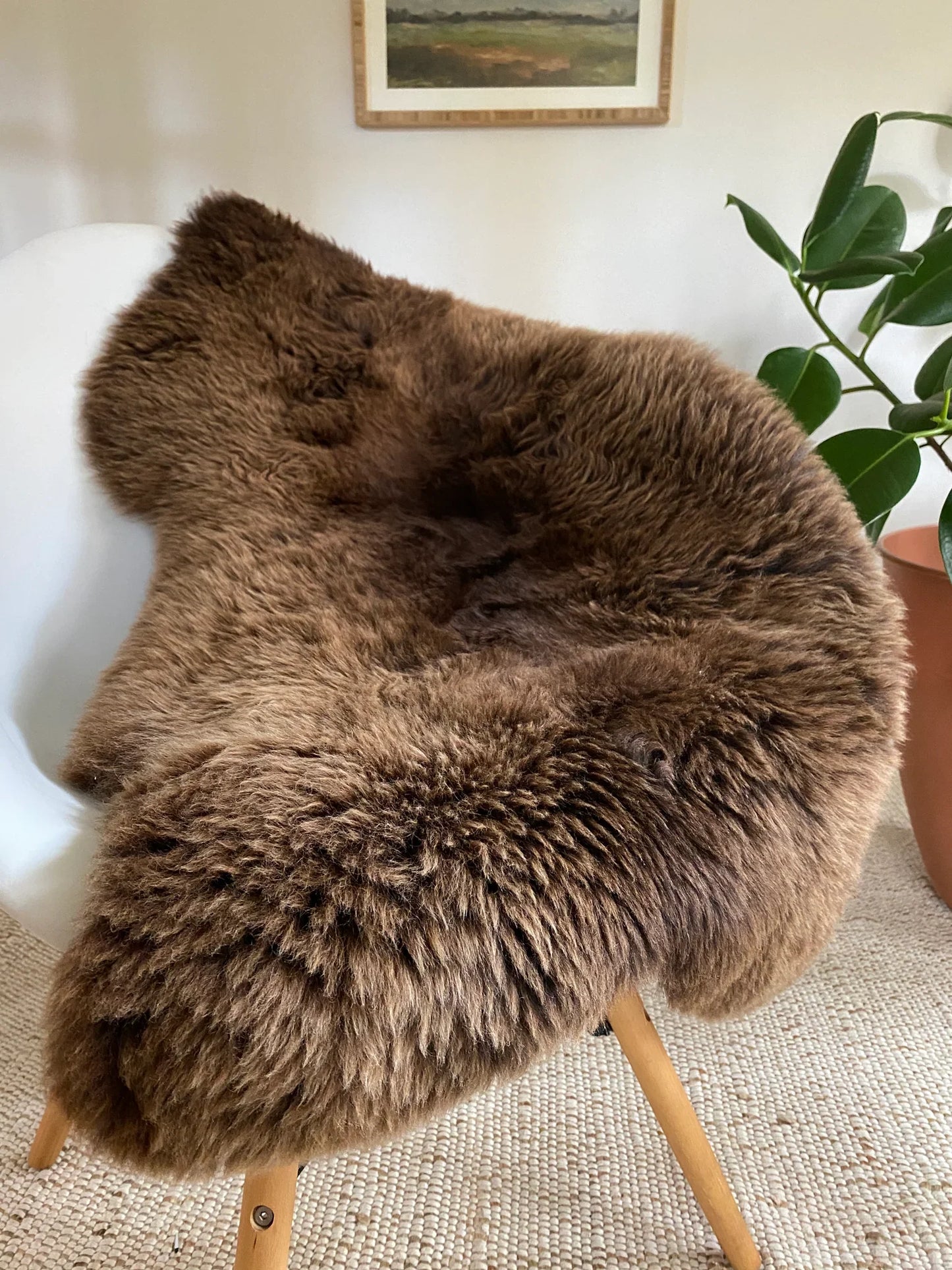 HLHF Forest Genuine Sheepskin Rug X Grey Home (Small) Accessories, Grey Home Furniture Store Burlington Ontario Near Me 