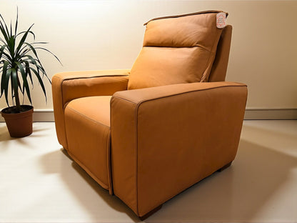 HLHF Oslo Antelope Motion Recliner Accent Chairs, Living, New Arrivals Furniture Store Burlington Ontario Near Me 