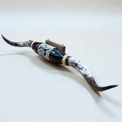 HLHF Mounted Longhorn Accessories, New Arrivals, Wall Art Furniture Store Burlington Ontario Near Me 