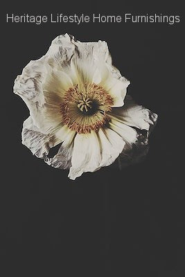 HLHF Portrait of a Poppy Wall Art Wall Art Furniture Store Burlington Ontario Near Me 